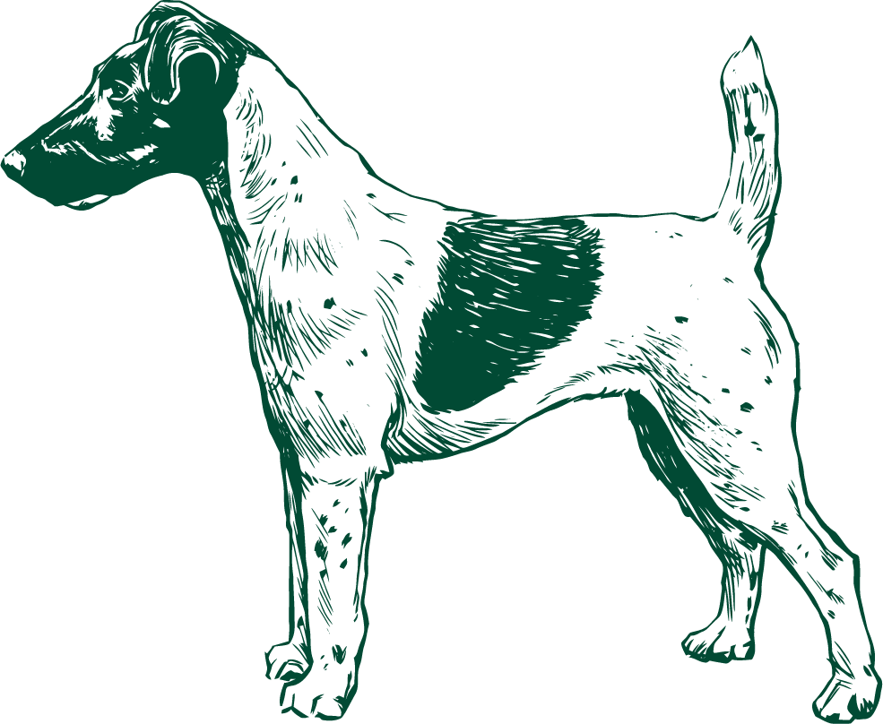 tid_dog